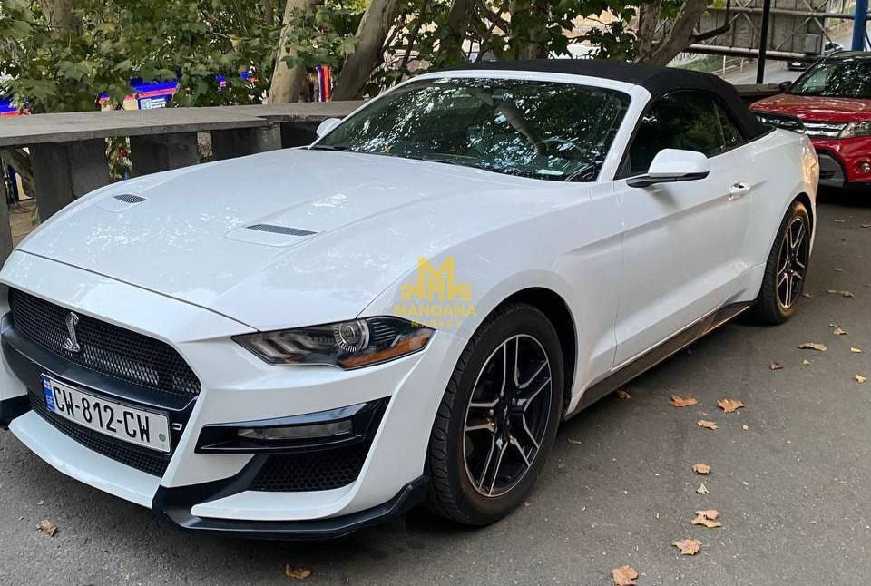 2019 FORD Mustang - Main Photo