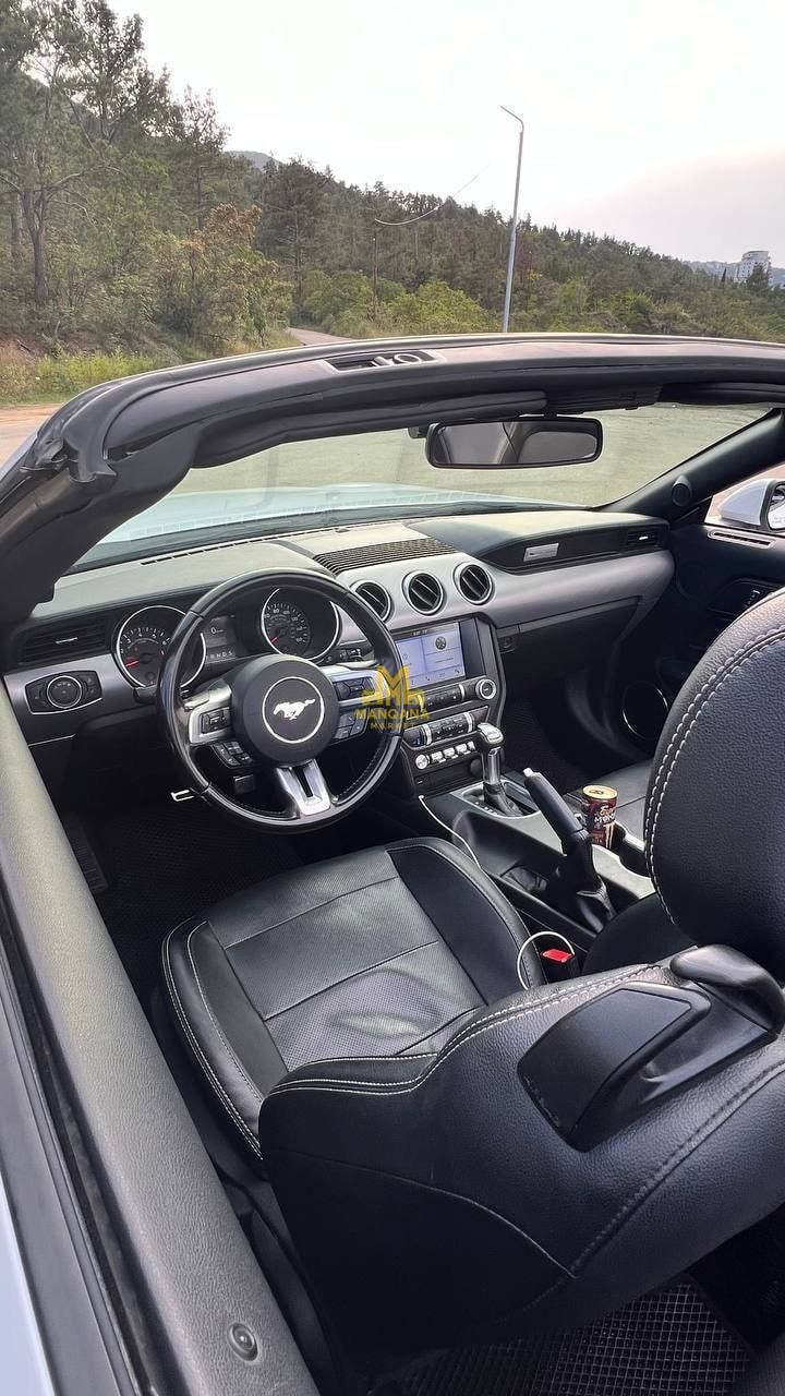 2019 FORD Mustang - Photo 2