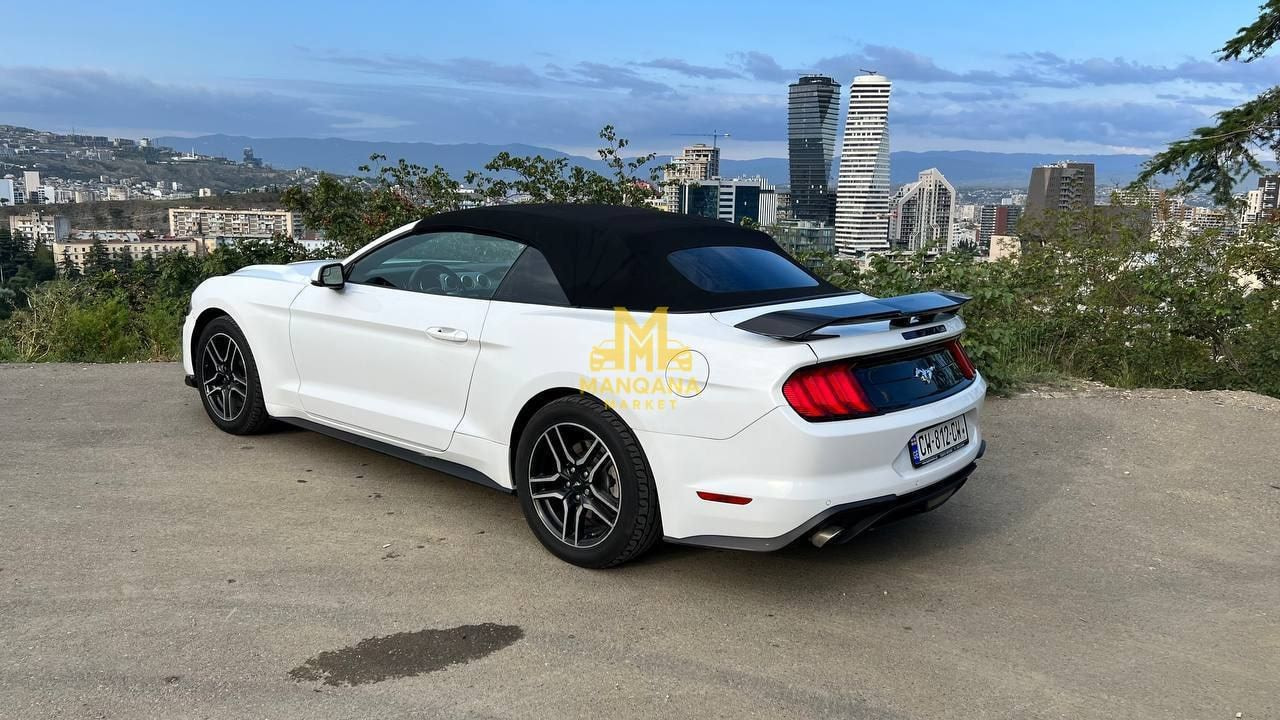 2019 FORD Mustang - Photo 3