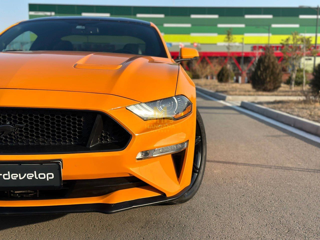 2019 FORD Mustang - Photo 3
