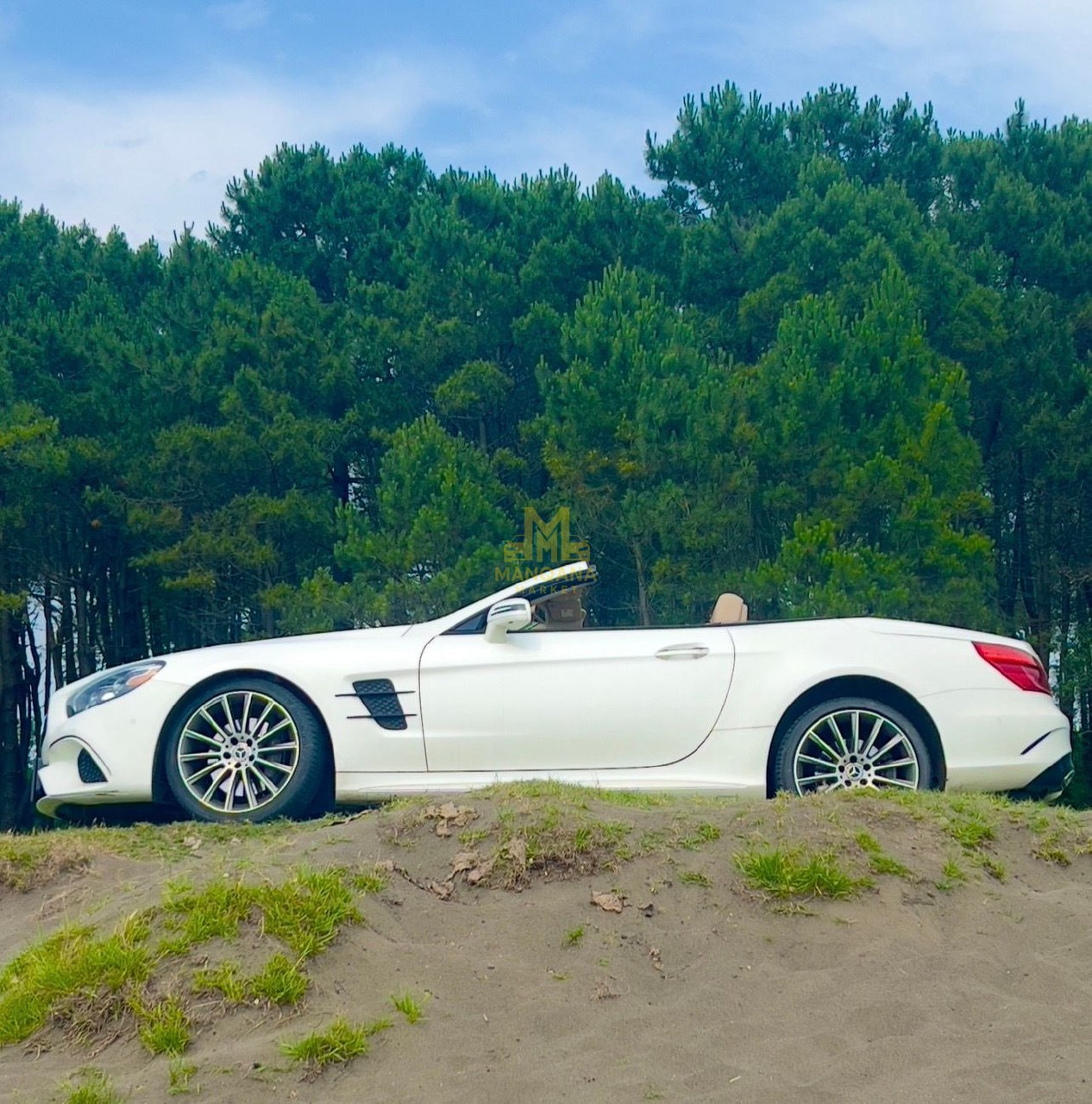 2019 MERCEDES-BENZ SL450  - Photo 3