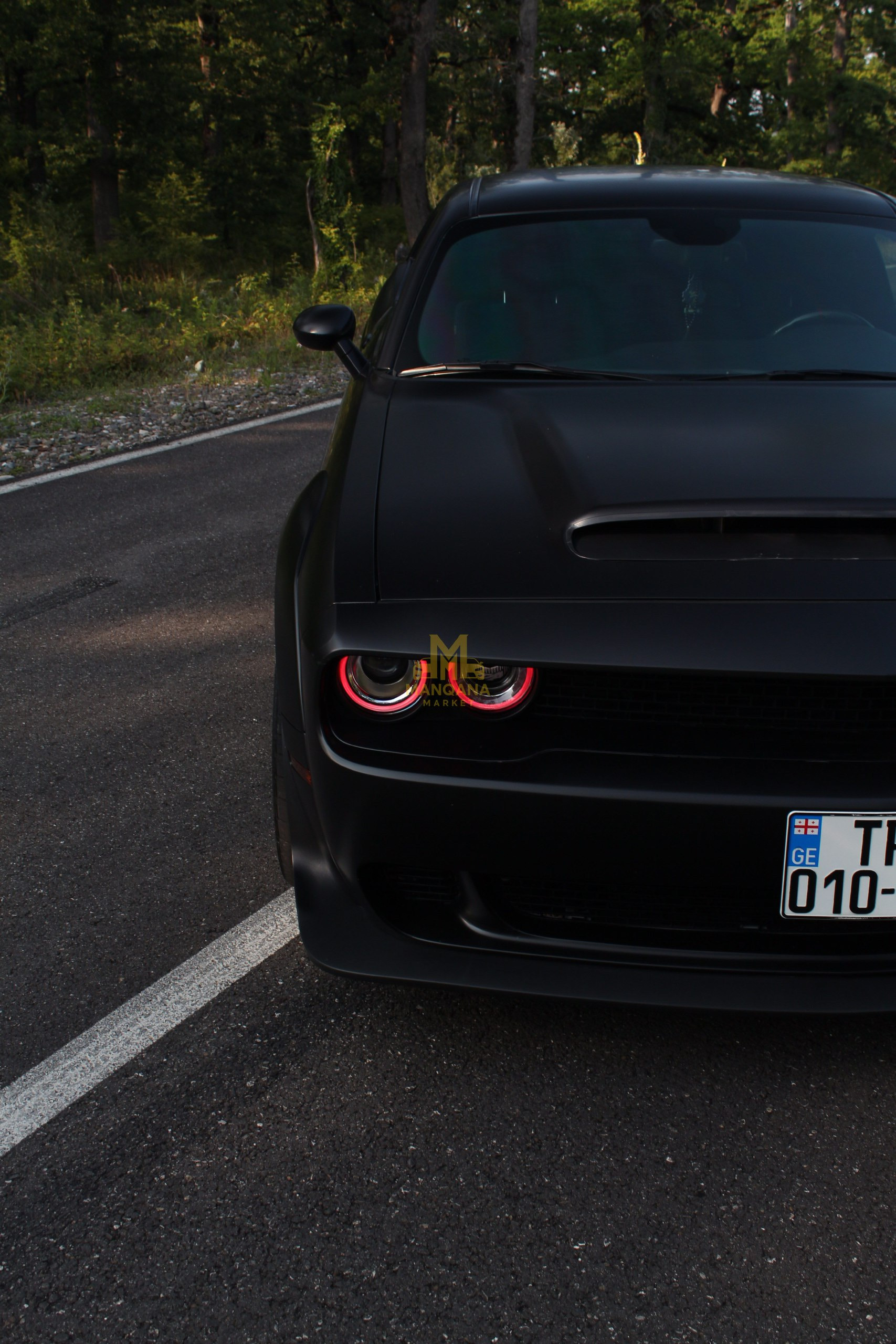 2016 DODGE Challenger SCAT Pack - Photo 2