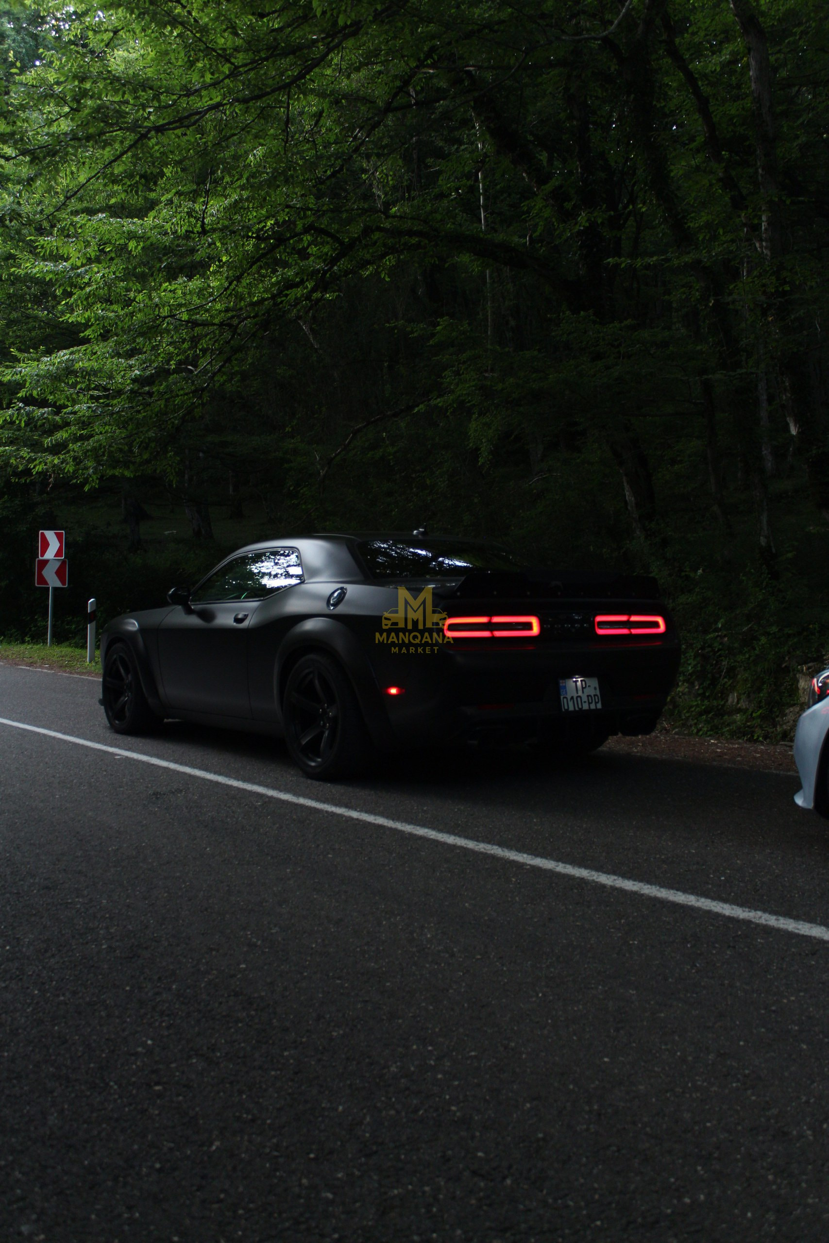 2016 DODGE Challenger SCAT Pack - Photo 6