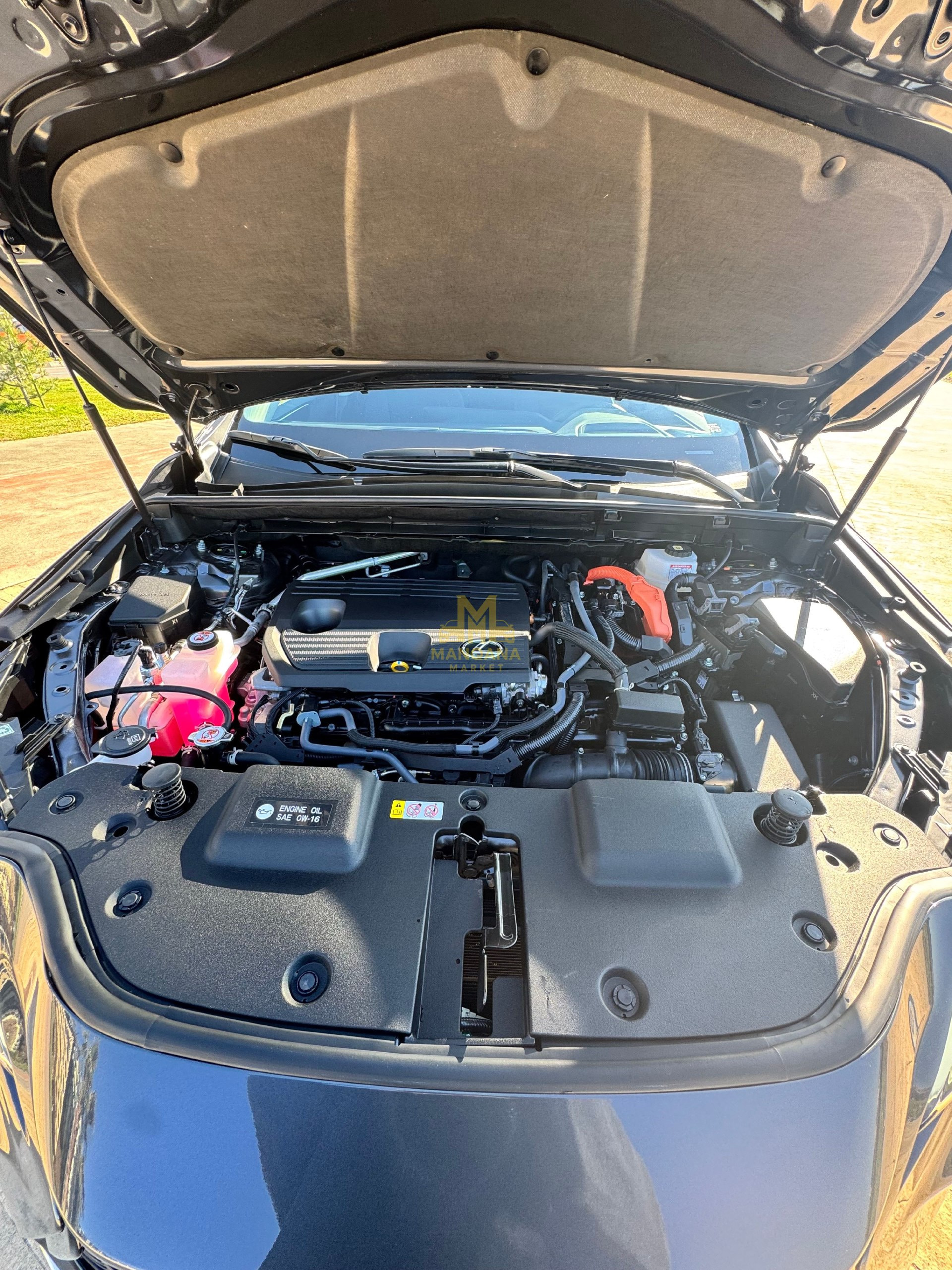 2025 LEXUS 350h Premium - Photo 5